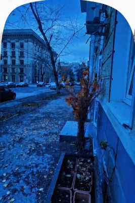 Как видно через линзы Deep Blue Zee